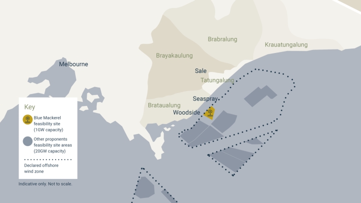 Проект морской ветроэнергетики Blue Mackerel получил статус крупного в Австралии
