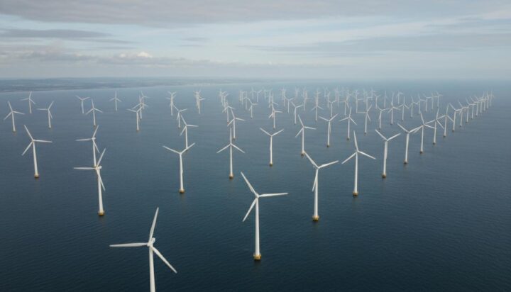 Lidl GB будет получать энергию с морского ветропарка Gwynt y Môr