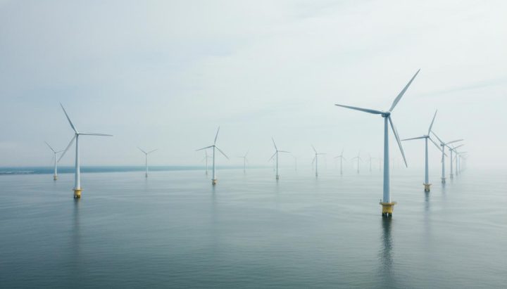 TotalEnergies свернет ветроэнергетические проекты в США за компенсацию